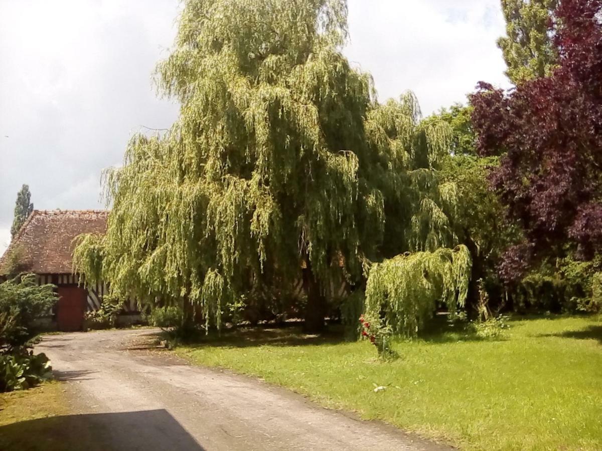 La Ferme Des Vignes Bed & Breakfast Hotot-en-Auge